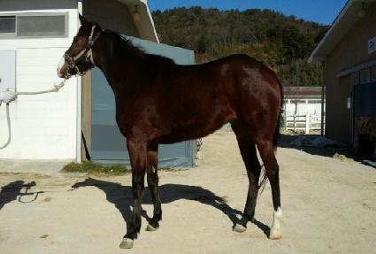 �ΰ氭�� ����