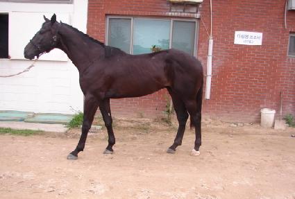 ��õ ����