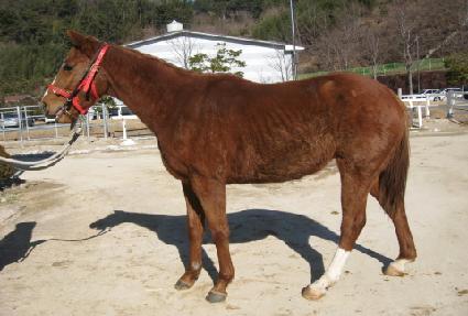 û���¾� ����