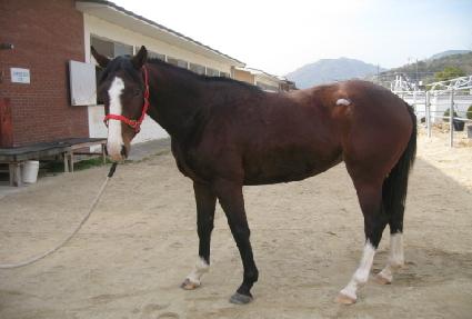 �踲�ǰ��� ����