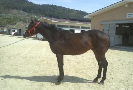 ��õ���� ����