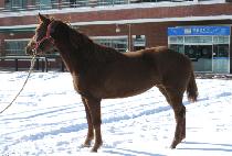 ������� (DAEJEON SARANG) ����