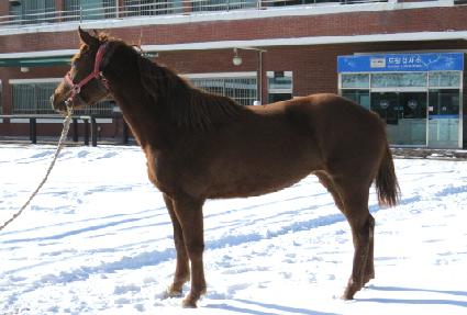 ������� ����