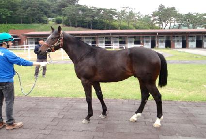 �Ǽ������� ����