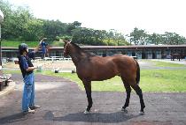 �˶�� (ALADDIN) ����