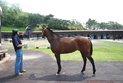 �˶�� ����