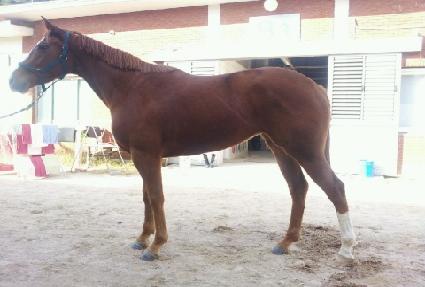 ���ڸ���� ����