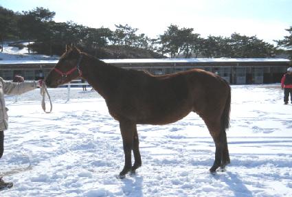 �������� ����