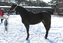 �����ᱤ (GUSIP CHUNGWANG) ����