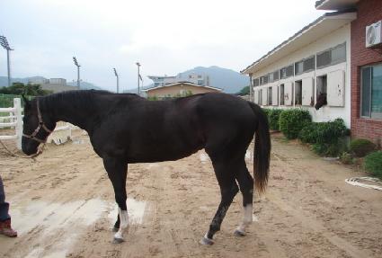 ���������� ����