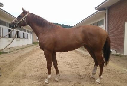 ����� ����