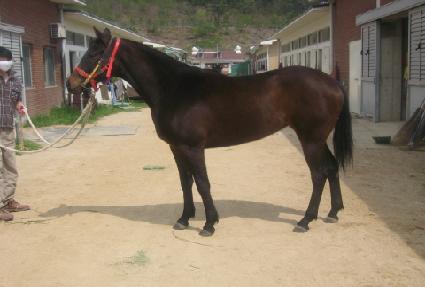 ������ ����