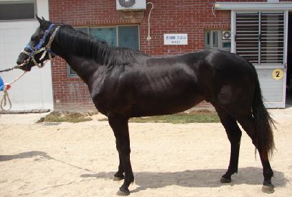 �����̺��� ����