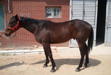 ��ǳ ����