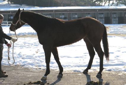 �������� ����