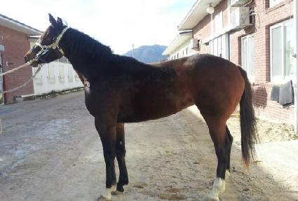 �����ũ ����