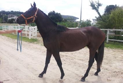 �ʲ� ����