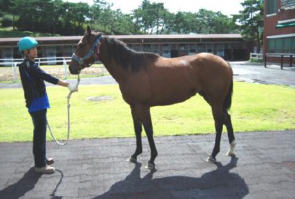 ������Ƽ�� ����