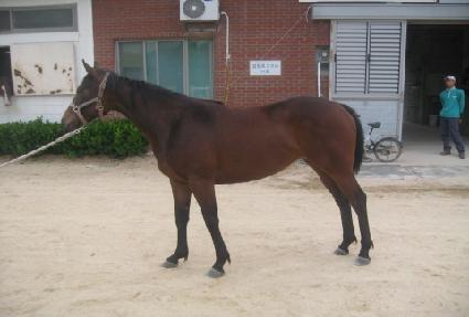 �������� ����