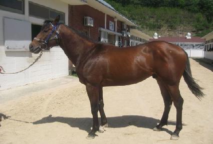 ����¡�۽�Ʈ ����