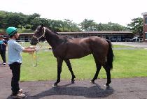 �ٳ��Ŀ� (BAR NONE HUYE) ����