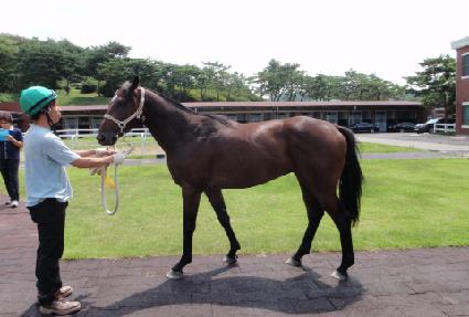 �ٳ��Ŀ� ����