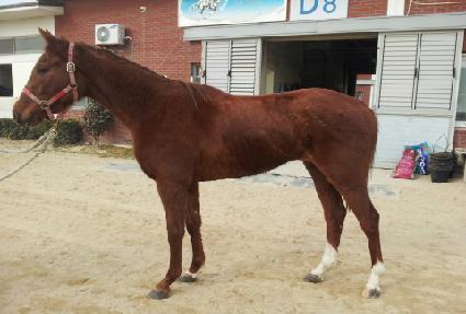 ���丮���� ����