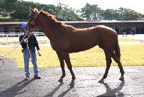 ���긮���� (EVERY EYE) ����