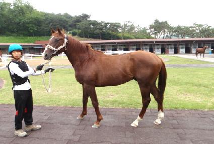 ���丮�� ����