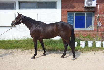 ����Ƽ ����