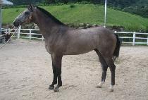 �ڿ��� (JAYEONSU) ����