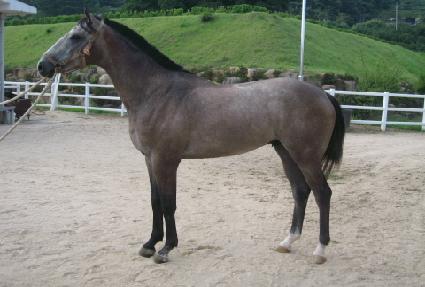 �ڿ��� ����