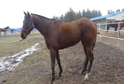 ���ٿ� ����