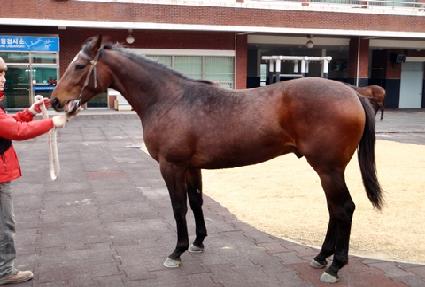 ƾ����� ����