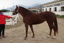 �޽����ѹ��� (MESSAGE NUMBER ONE) ����