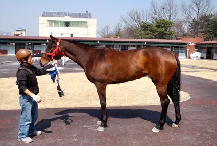 �߼� ����