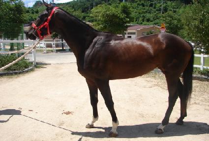 ���ΰ��� ����