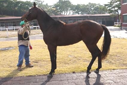 õ���� ����