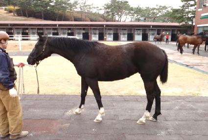 �¾�ȭ ����