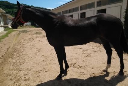 ����¡����� ����