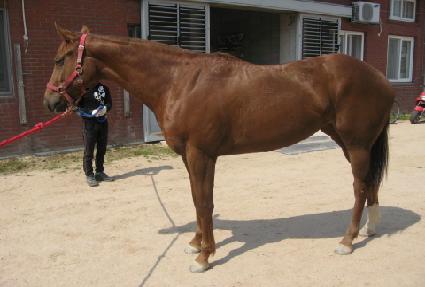 ���� ����