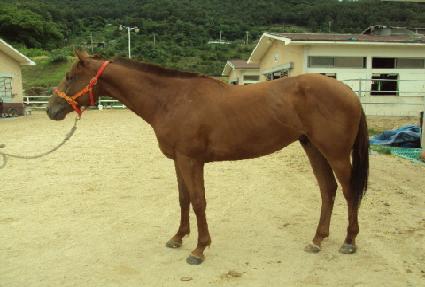 ������ ����