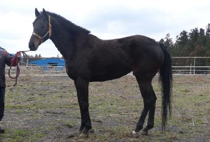 ������� ����