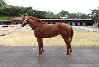 ����̾߱� ����