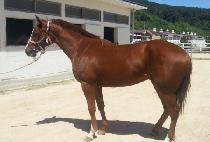 ����Ŭ�� (DOUBLE CLICK) ����