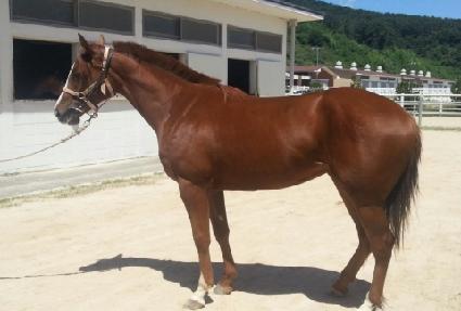 ����Ŭ�� ����