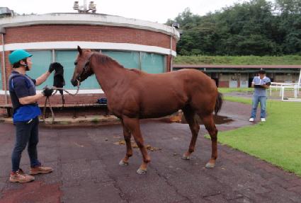 �����þ� ����