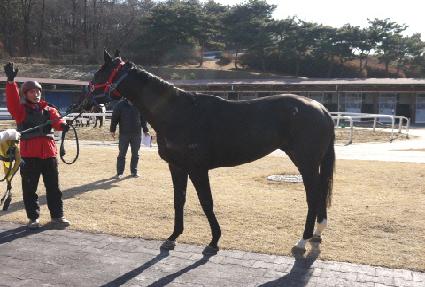 ���� ����