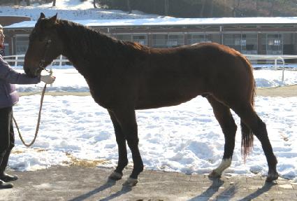 ���⸶�� ����