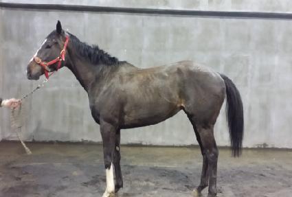 �Ŀ�ķ�� ����